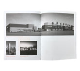 The Big Idea: Criticality and Practice in Contemporary Architecture (Non-mint)